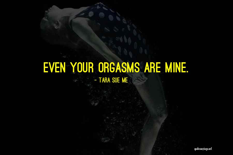 Tauruses Are Observers Quotes By Tara Sue Me Tauruses Are Observers Quotes By Tara Sue Me