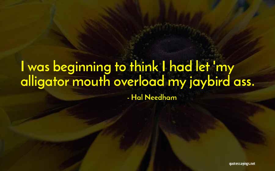 Tauscher Amanda Quotes By Hal Needham Tauscher Amanda Quotes By Hal Needham