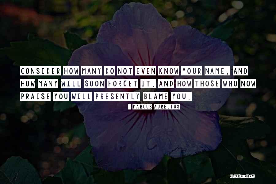 Tausif New Natok Quotes By Marcus Aurelius Tausif New Natok Quotes By Marcus Aurelius