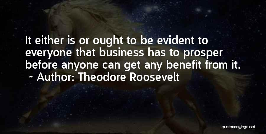 Tavakkoli Md Quotes By Theodore Roosevelt