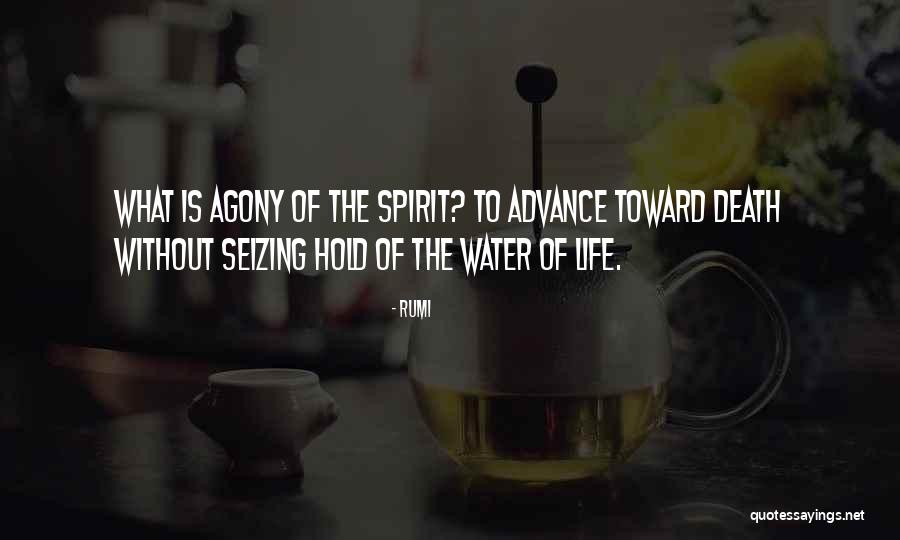 Tavakkoli Quotes By Rumi Tavakkoli Quotes By Rumi