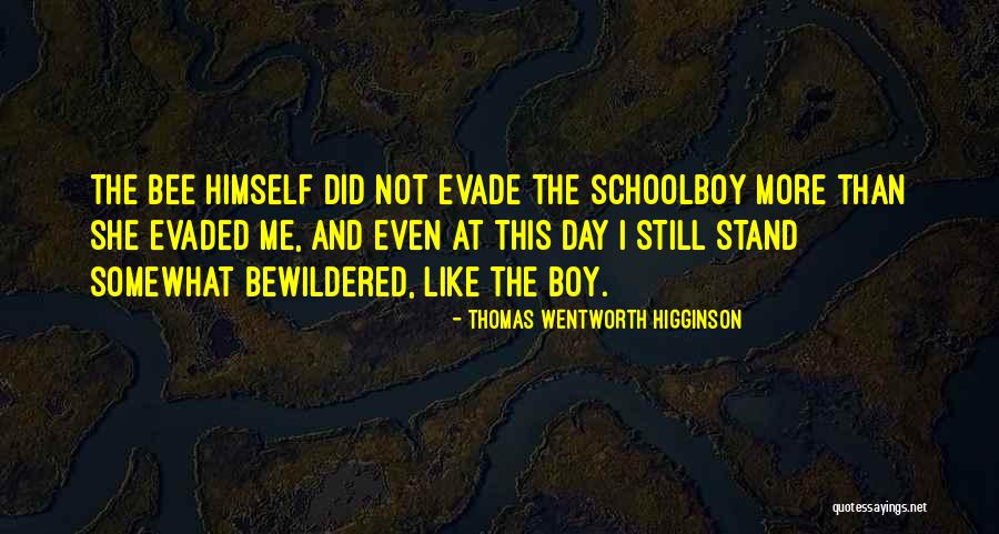Tavania Khademi Quotes By Thomas Wentworth Higginson Tavania Khademi Quotes By Thomas Wentworth Higginson