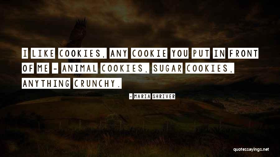Tavarataksi Quotes By Maria Shriver Tavarataksi Quotes By Maria Shriver