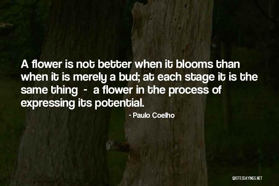 Tavarua Heart Shaped Quotes By Paulo Coelho Tavarua Heart Shaped Quotes By Paulo Coelho