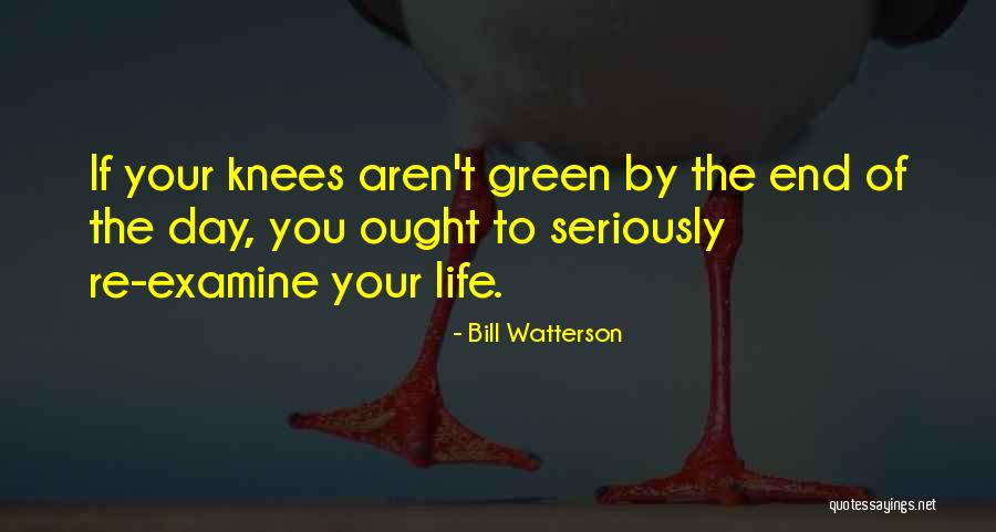 Tavenas Quotes By Bill Watterson Tavenas Quotes By Bill Watterson