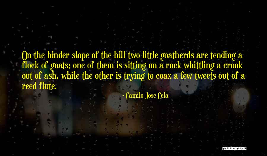 Tavolacci Realty Quotes By Camilo Jose Cela Tavolacci Realty Quotes By Camilo Jose Cela