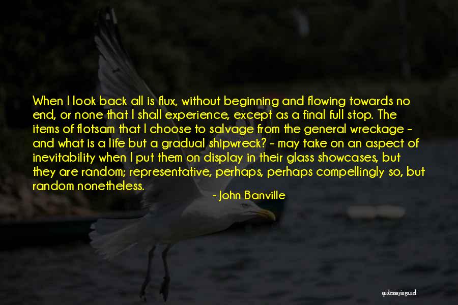 Tavsan Nasil Izilir Quotes By John Banville Tavsan Nasil Izilir Quotes By John Banville