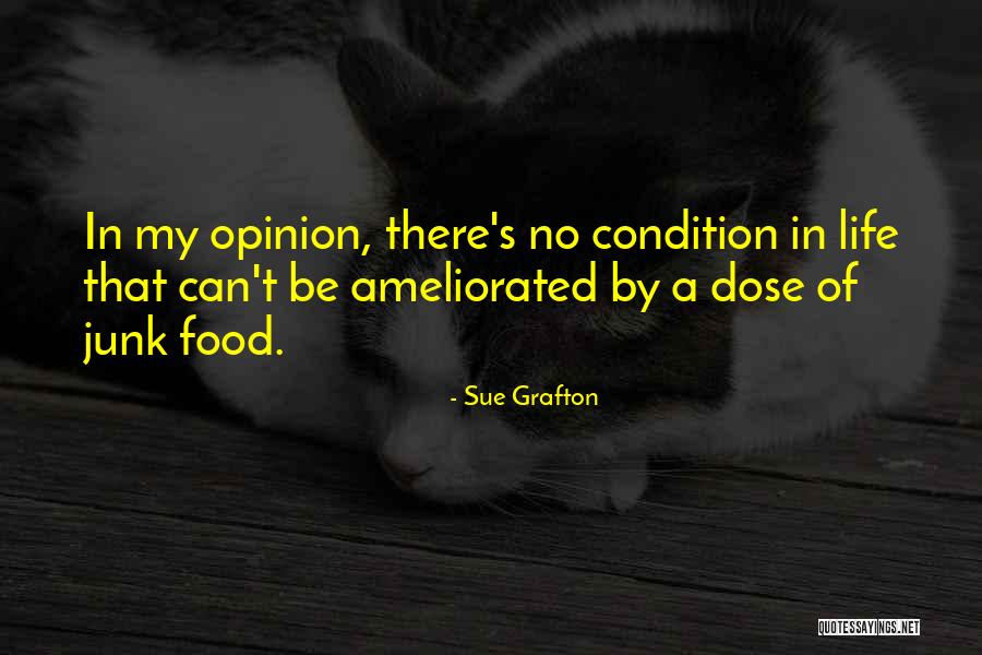 Tawaki Penguins Quotes By Sue Grafton Tawaki Penguins Quotes By Sue Grafton