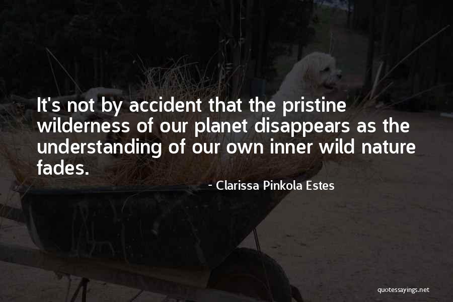 Tawfeek Barhoms Age Quotes By Clarissa Pinkola Estes Tawfeek Barhoms Age Quotes By Clarissa Pinkola Estes