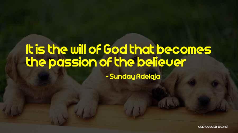 Tawnypelt Warrior Quotes By Sunday Adelaja Tawnypelt Warrior Quotes By Sunday Adelaja