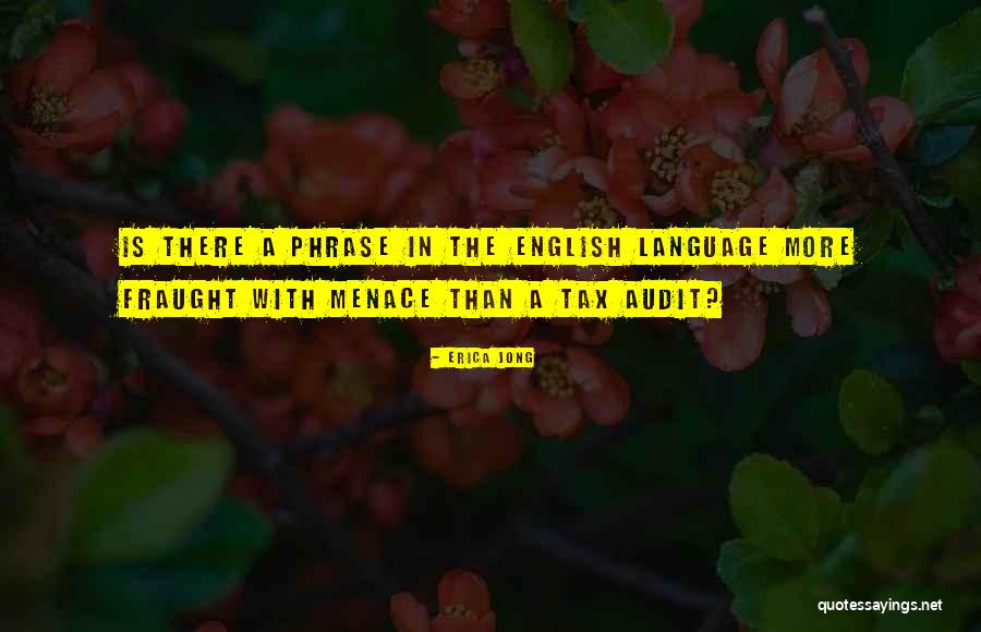 Tax Audit Quotes By Erica Jong