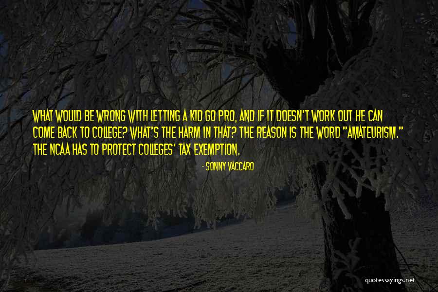Tax Back Quotes By Sonny Vaccaro Tax Back Quotes By Sonny Vaccaro