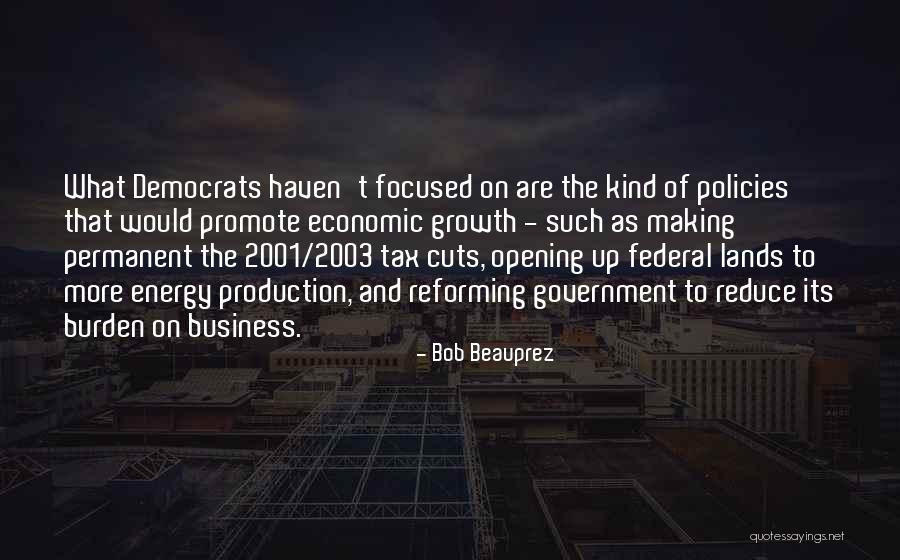 Tax Haven Quotes By Bob Beauprez