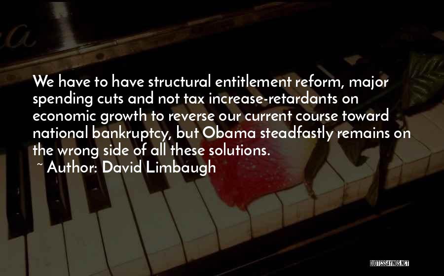 Tax Increase Quotes By David Limbaugh