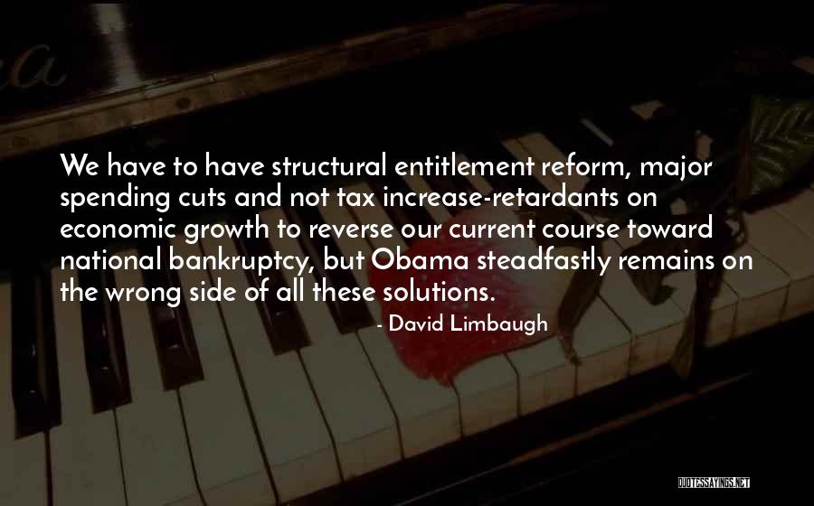 Tax Reform Quotes By David Limbaugh