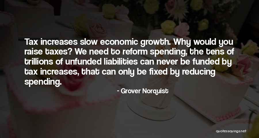 Tax Reform Quotes By Grover Norquist