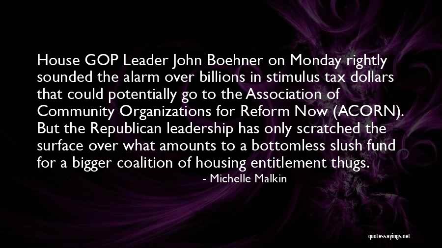 Tax Reform Quotes By Michelle Malkin