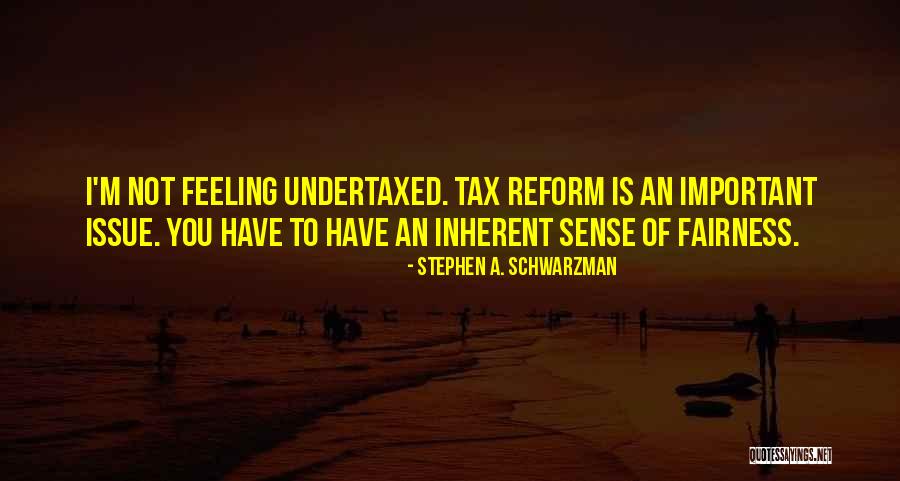 Tax Reform Quotes By Stephen A. Schwarzman