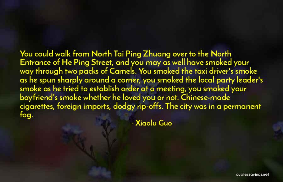 Taxi Driver Quotes By Xiaolu Guo Taxi Driver Quotes By Xiaolu Guo