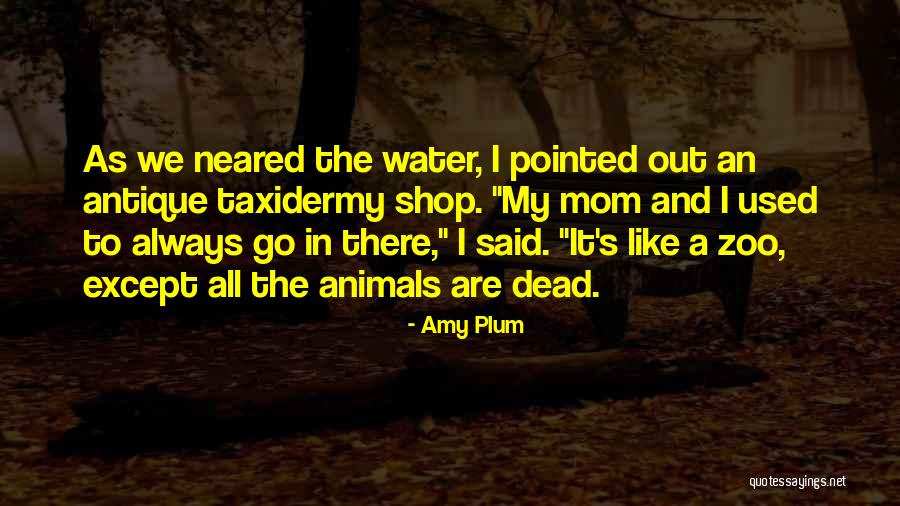 Taxidermy Quotes By Amy Plum