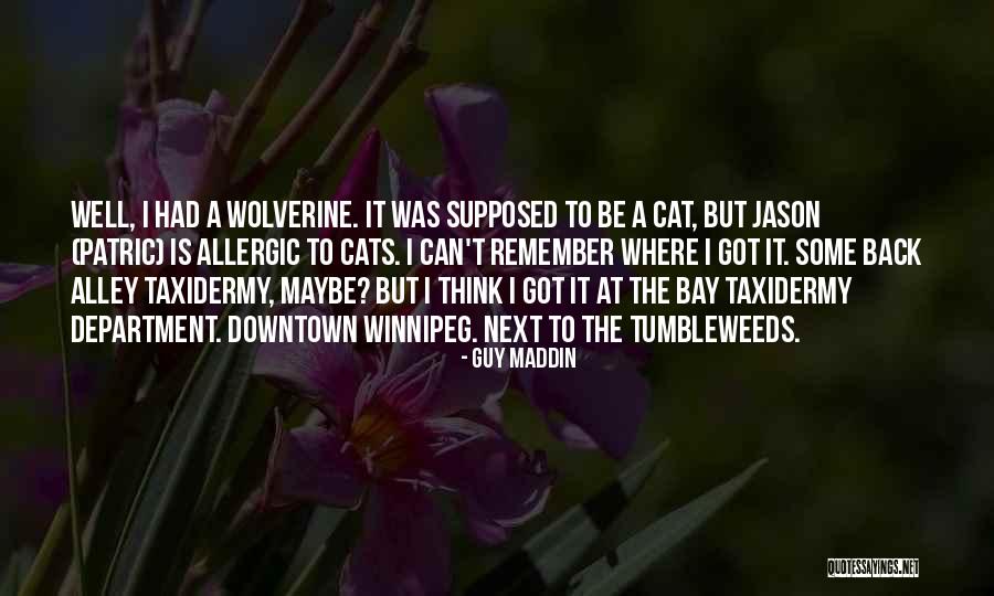 Taxidermy Quotes By Guy Maddin