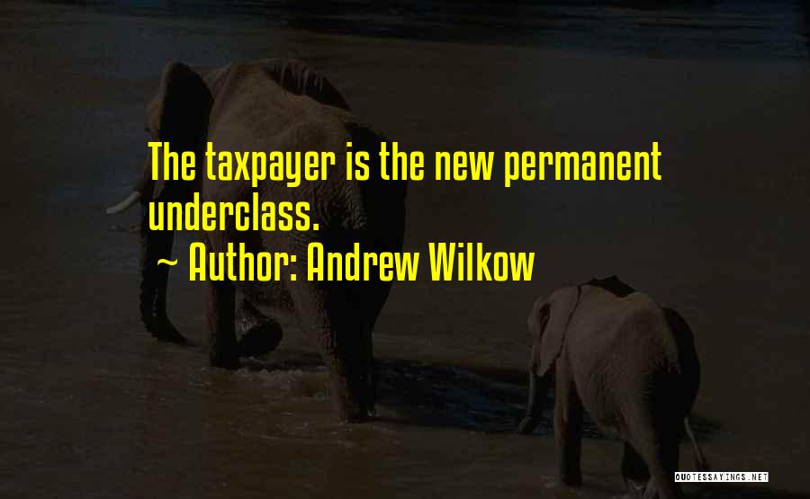 Taxpayers Quotes By Andrew Wilkow