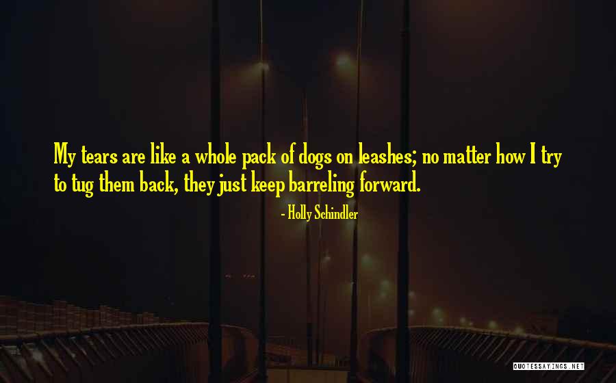Tayabas Cane Quotes By Holly Schindler Tayabas Cane Quotes By Holly Schindler