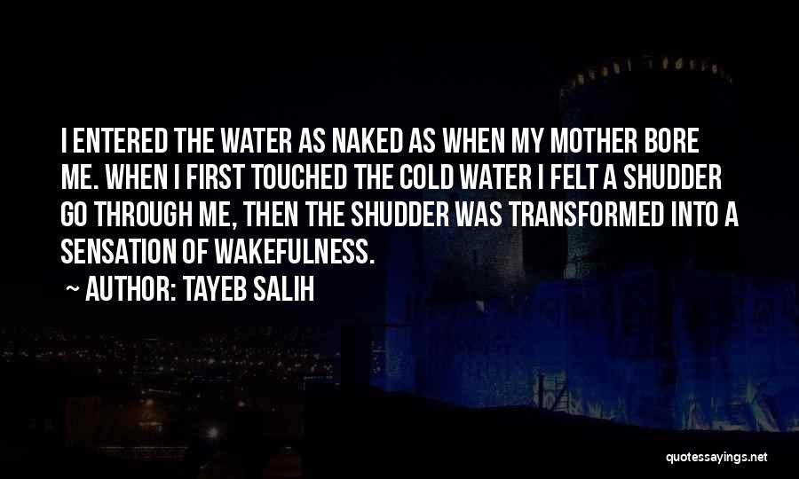 Tayeb Salih Quotes 2112324