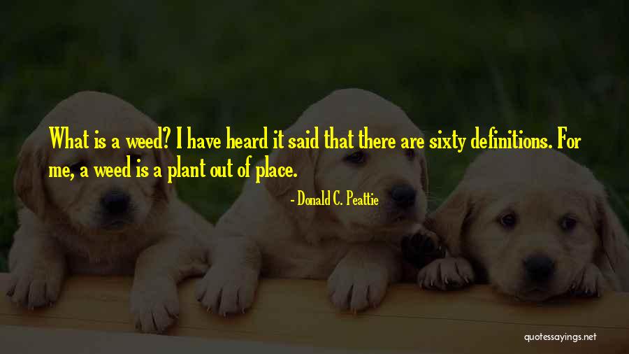 Taygen Brown Quotes By Donald C. Peattie Taygen Brown Quotes By Donald C. Peattie