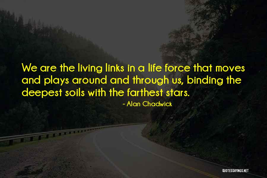 Taylen Biggs Quotes By Alan Chadwick Taylen Biggs Quotes By Alan Chadwick