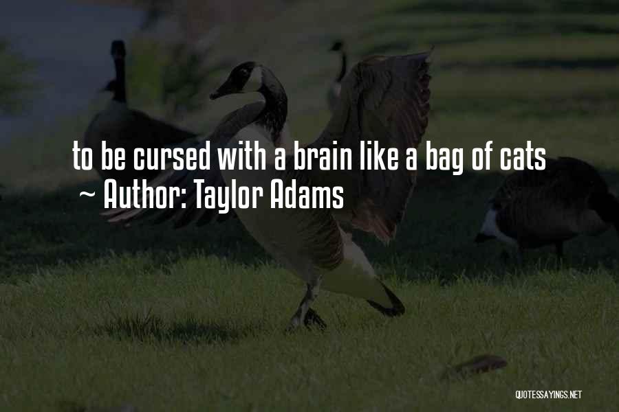 Taylor Adams Quotes 1461771
