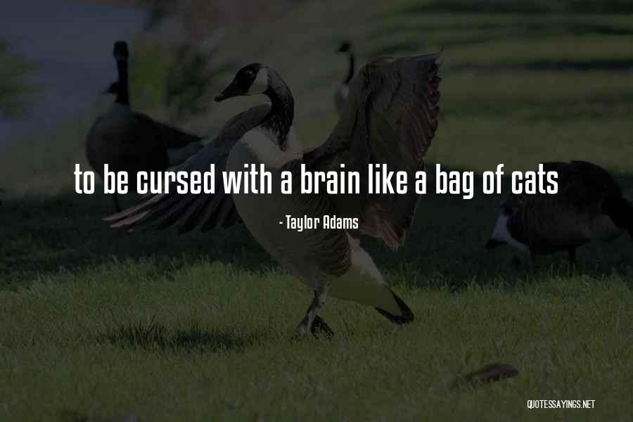 Taylor Adams Quotes 1461771 Taylor Adams Quotes 1461771