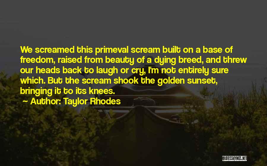 Taylor Rhodes Quotes 860077