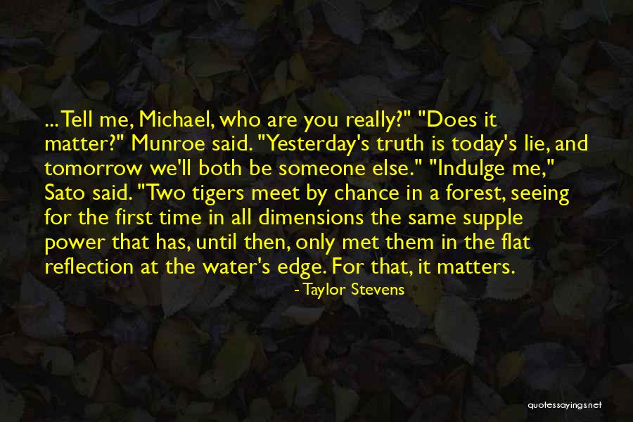 Taylor Stevens Quotes 1041173 Taylor Stevens Quotes 1041173