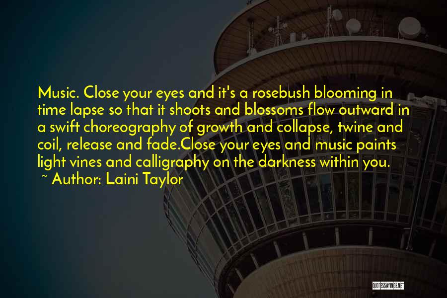 Taylor Swift's Music Quotes By Laini Taylor