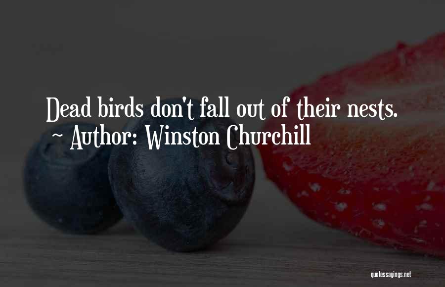 Tazeolu Quotes By Winston Churchill