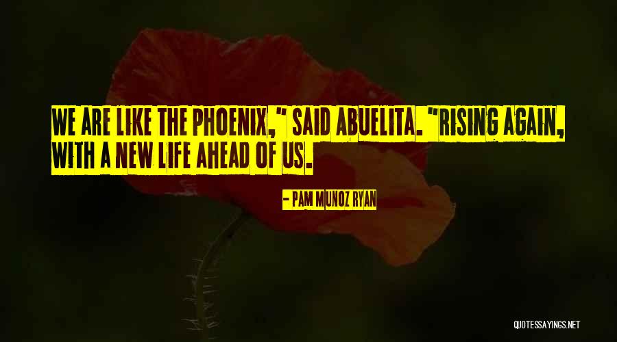 Tc Quotes By Pam Munoz Ryan Tc Quotes By Pam Munoz Ryan