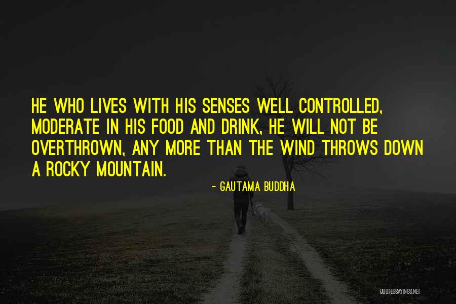 Tchaikovskys Swan Quotes By Gautama Buddha Tchaikovskys Swan Quotes By Gautama Buddha