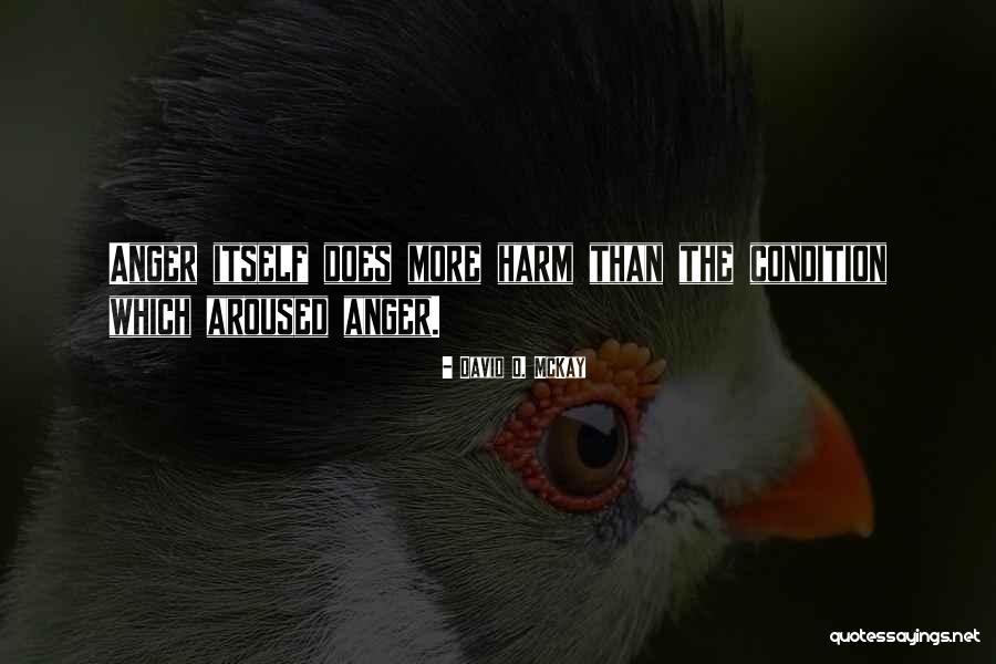 Tchaka Louboutin Quotes By David O. McKay Tchaka Louboutin Quotes By David O. McKay