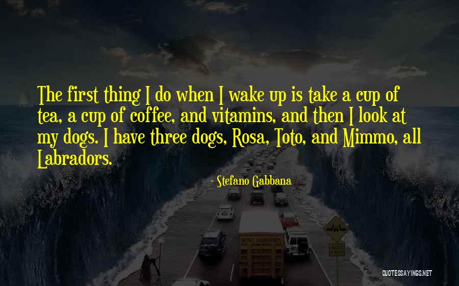Tea Coffee Quotes By Stefano Gabbana Tea Coffee Quotes By Stefano Gabbana