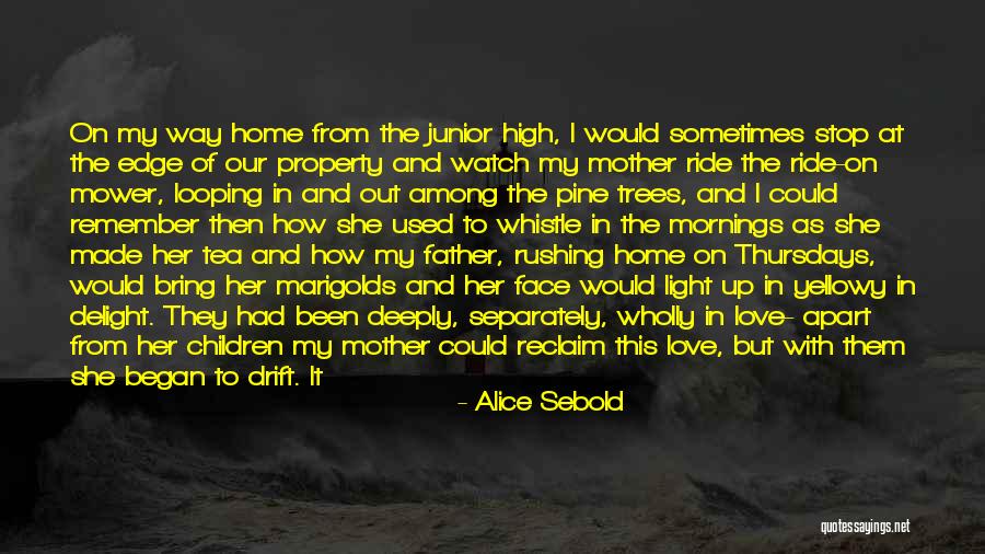 Tea Light Quotes By Alice Sebold