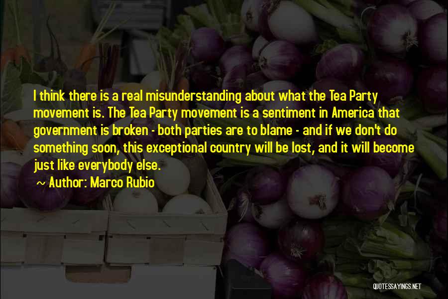 Tea Party Movement Quotes By Marco Rubio