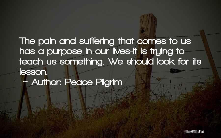 Teach Peace Quotes By Peace Pilgrim