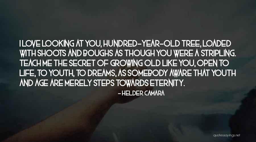 Teach The Youth Quotes By Helder Camara