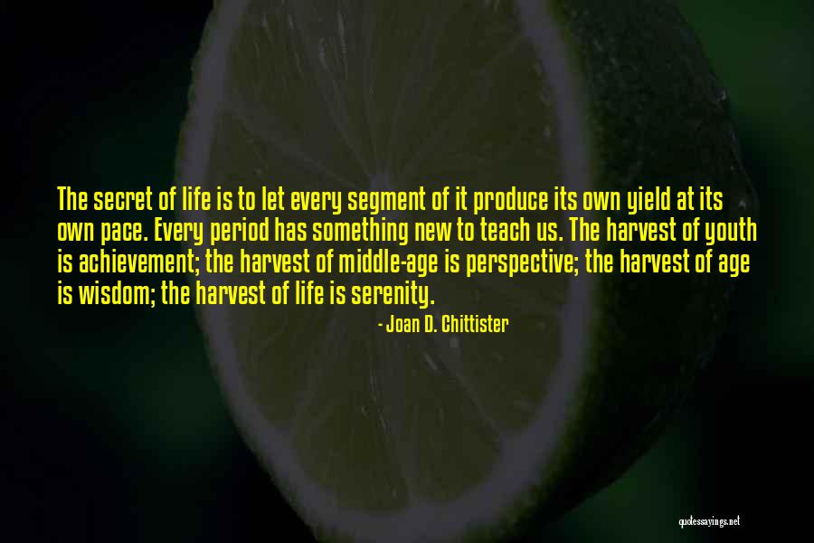 Teach The Youth Quotes By Joan D. Chittister