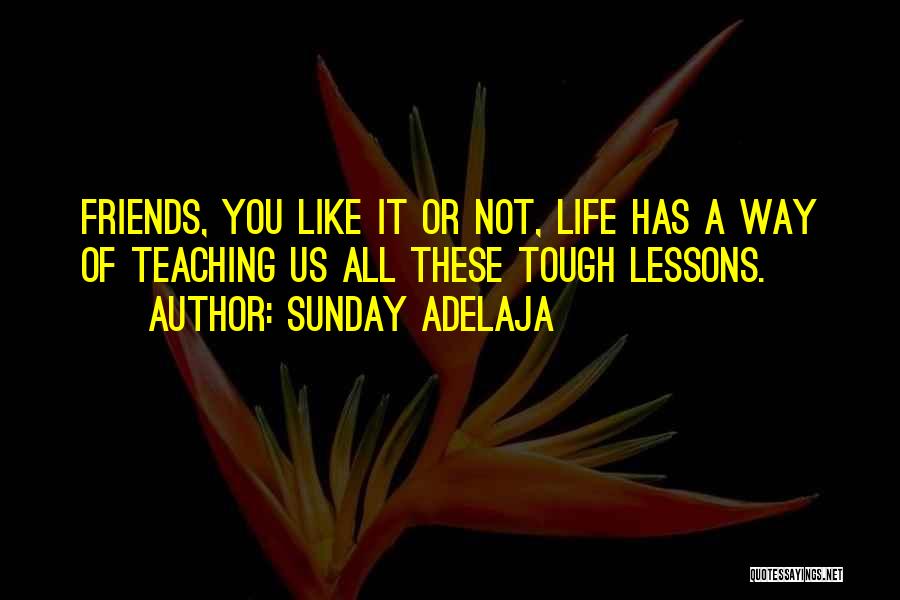 Teach You A Lesson Quotes By Sunday Adelaja