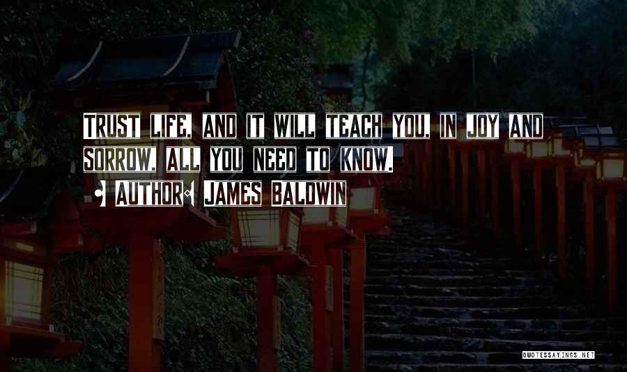 Teach You Quotes By James Baldwin