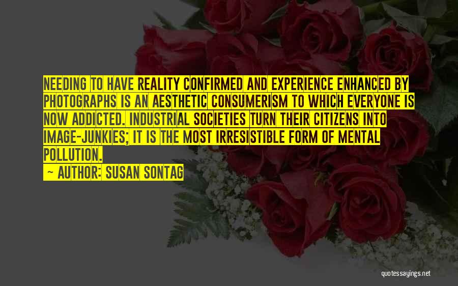 Teacher And Student Relationship Quotes By Susan Sontag