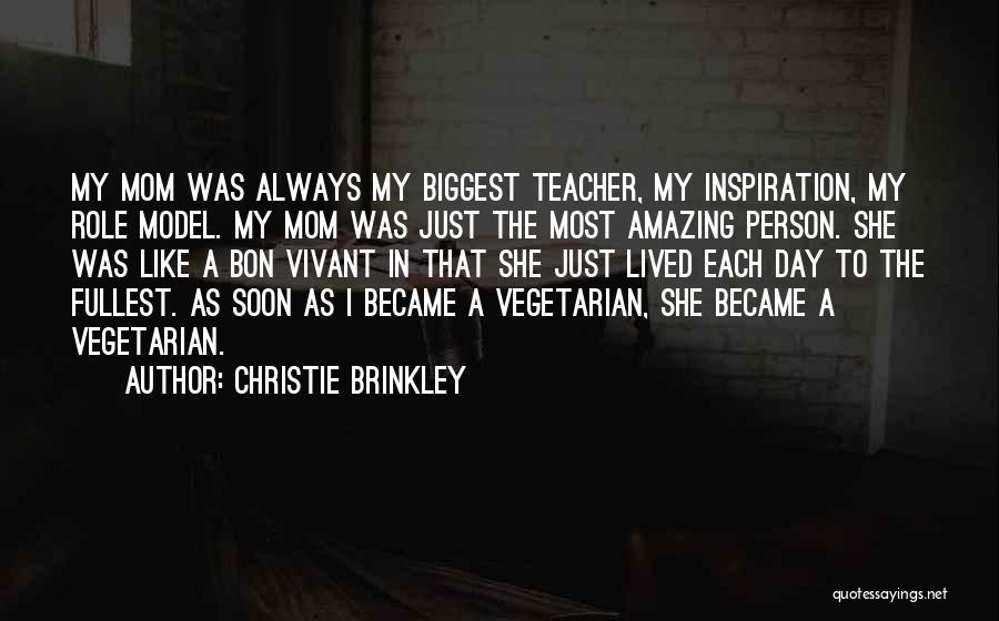 Teacher As A Role Model Quotes By Christie Brinkley