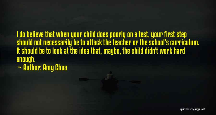 Teacher Curriculum Quotes By Amy Chua